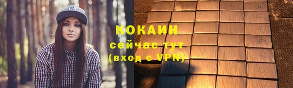 винт Няндома