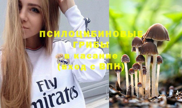 мяу мяу мука Новозыбков