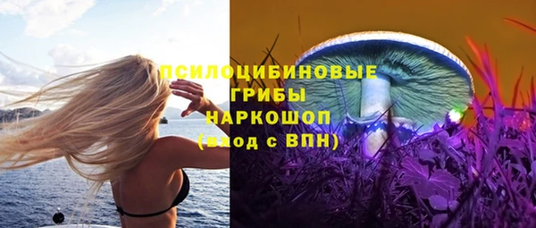 винт Няндома